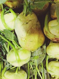 Close-up of vegetables