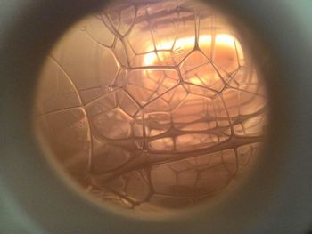 Close-up of broken glass