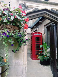 Walkway leading towards telephone booth by building