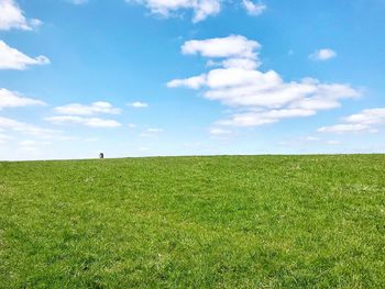 Scenic view of field against sky and a lone dog in the background