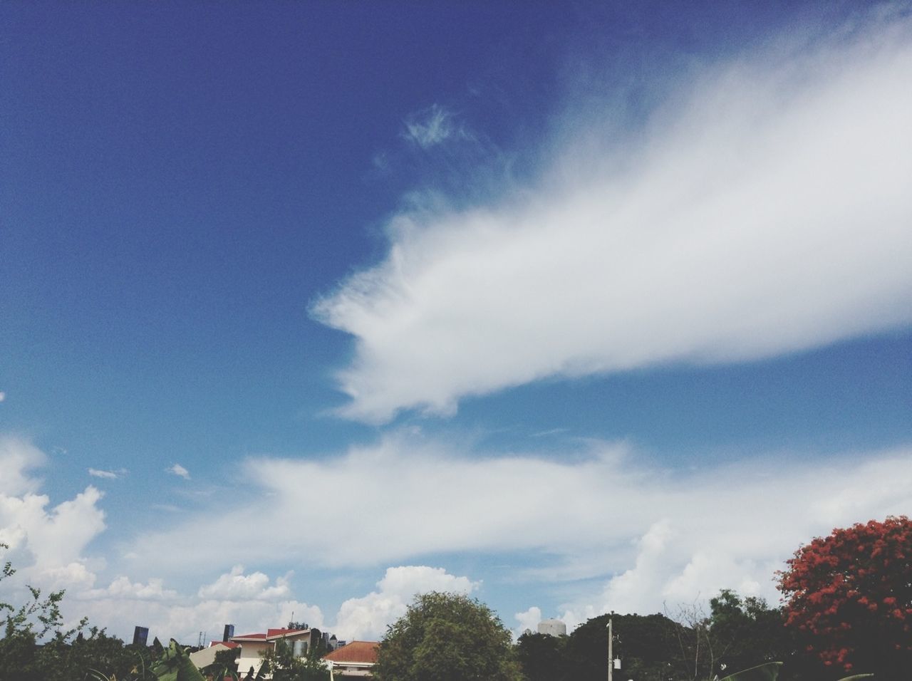 low angle view, sky, tree, blue, cloud - sky, built structure, building exterior, architecture, cloud, high section, nature, beauty in nature, house, cloudy, outdoors, day, tranquility, no people, scenics, growth