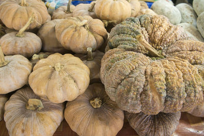 High angle view of squashes on table for sale at market