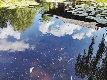 Reflection of trees in lake