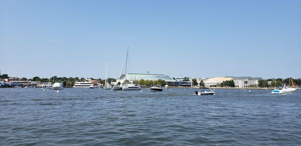 Sailboats moored in sea against clear sky