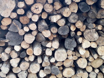 Full frame shot of logs