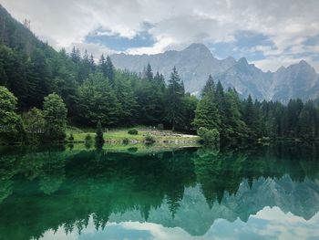 Scenic view of lake by trees against sky