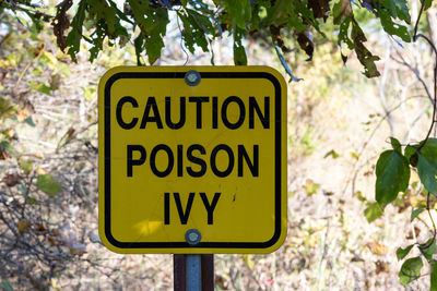 Yellow warning sign cautioning against poison ivy