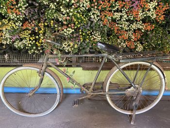 Bicycle parked by plants against wall