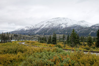 Scenic view of snowcapped mountains in front of trees against sky