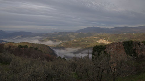 Scenic view of landscape against sky