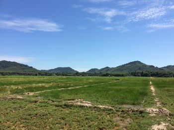 Scenic view of field against sky