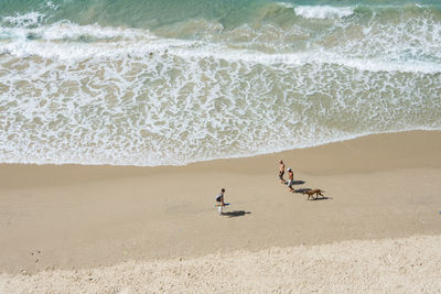 Aerial view of people on beach 