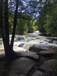 View of waterfall in forest