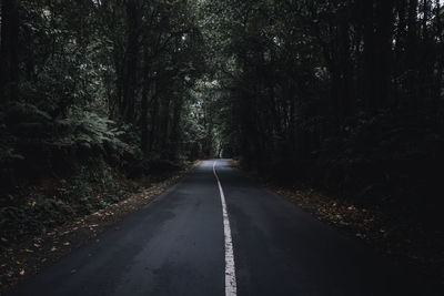 Empty road amidst trees in forest