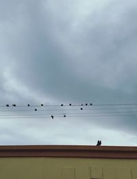 Flock of birds perching on tree