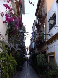 Buildings in city