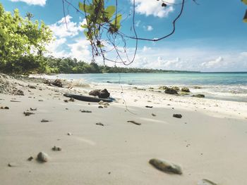 Surface level of beach against sky