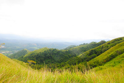 Scenic view of landscape against clear sky