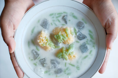 Midsection of person holding cendol soup in bowl