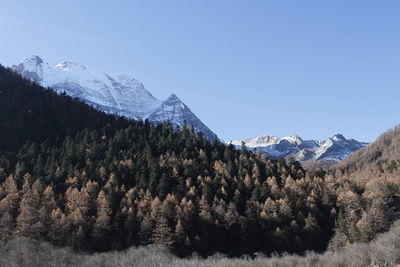 Scenic view of snowcapped mountains against clear sky