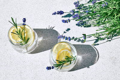 Cool lavender homemade lemonade with lemon slices and lavender flower. detox summer drink.