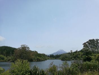 Scenic view of lake by trees against sky