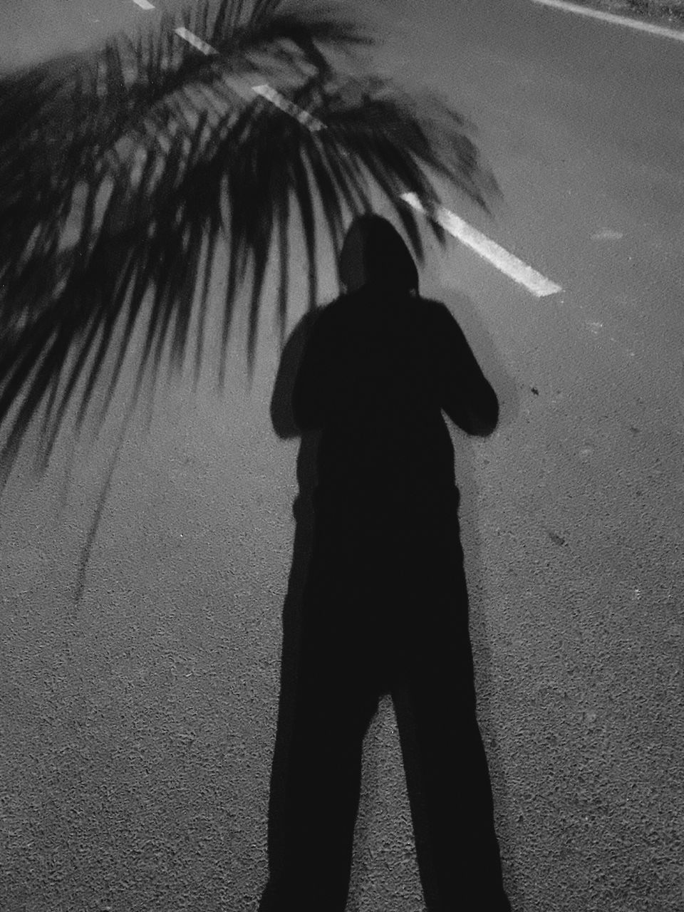 silhouette, real people, standing, shadow, one person, rear view, outdoors, men, day, palm tree, nature, people