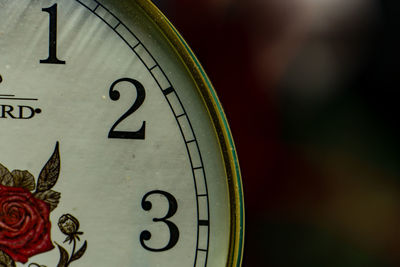 Close-up of clock on leaf