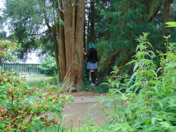 Rear view of woman walking amidst trees