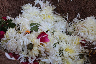 Close-up of flowers