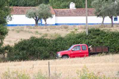 View of car on field