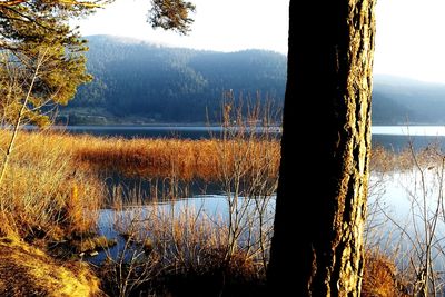 Scenic view of lake against sky