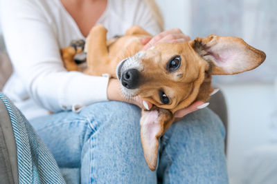 A young beautiful woman in casual clothes hugs and pets her beloved dog sitting