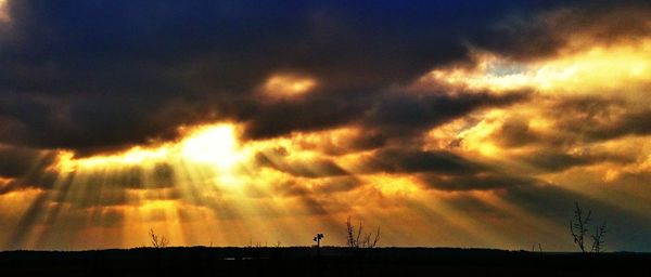 Silhouette of trees against dramatic sky