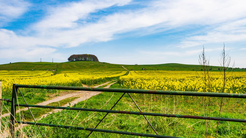 Scenic view of field against sky