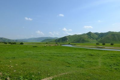 Scenic view of field against sky