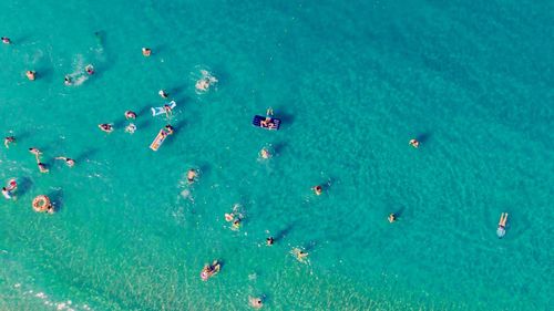 High angle view of people swimming in sea