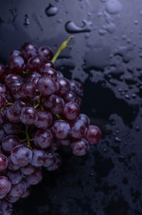 Close-up of wet berries growing on plant