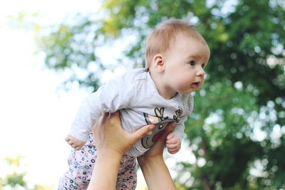 Cropped hands of mother holding daughter against trees