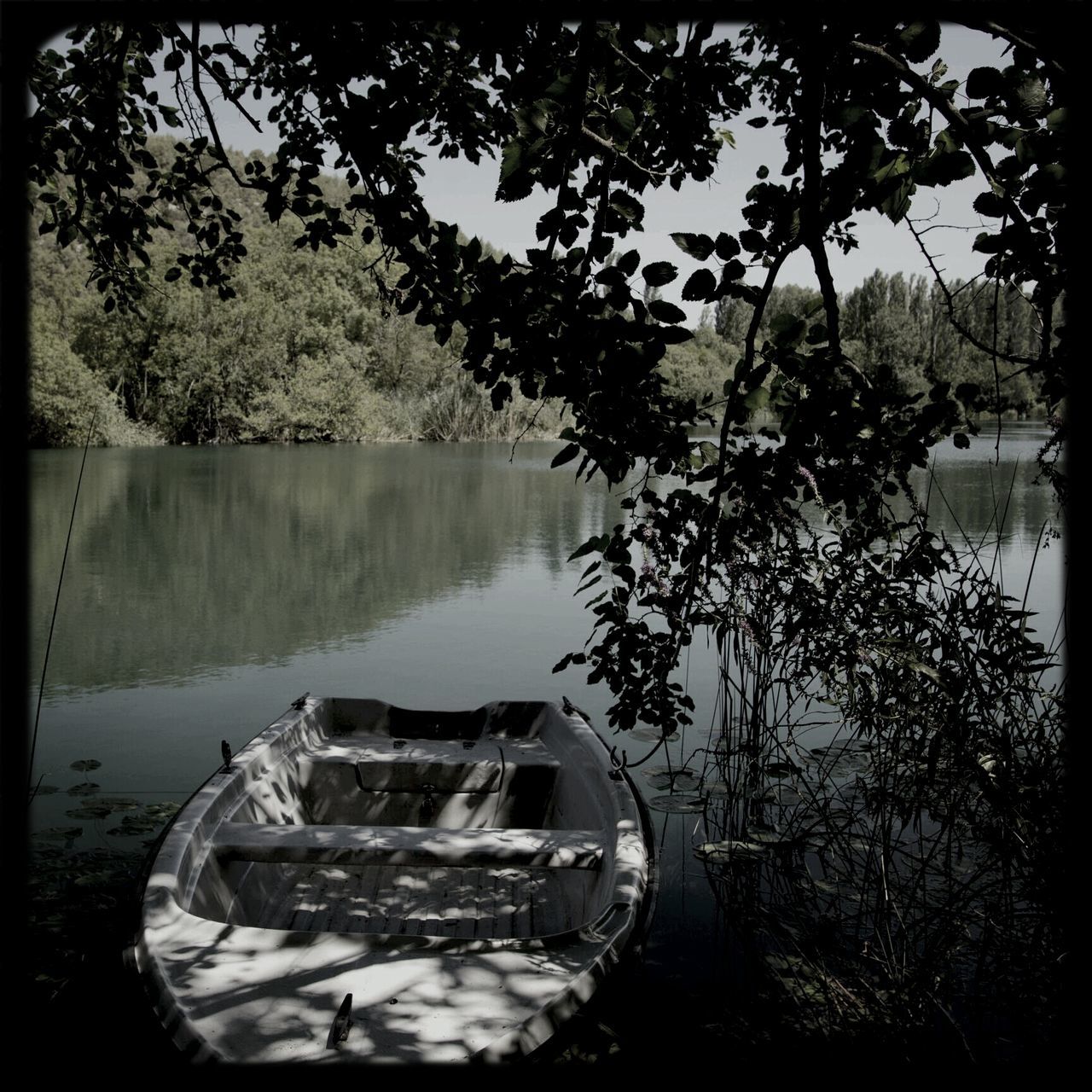 transfer print, tree, mode of transport, auto post production filter, transportation, water, nautical vessel, land vehicle, growth, moored, nature, reflection, boat, car, plant, lake, day, tranquility, branch, outdoors