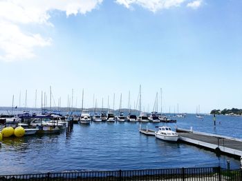 Sailboats moored on harbor against sky