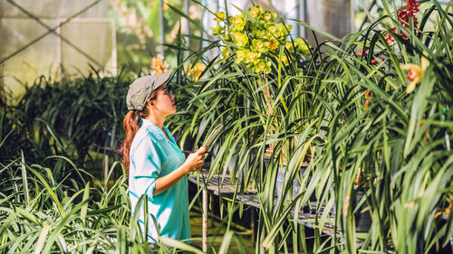 Side view of female researcher examining flowers in greenhouse