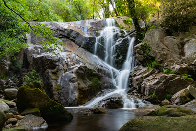 Scenic view of waterfall in forest