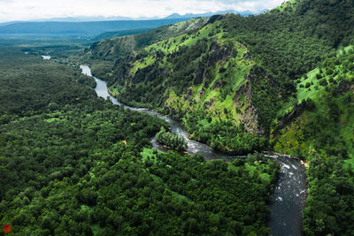 Scenic view of waterfall in forest