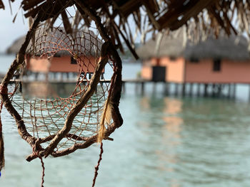 Close-up of bare tree against lake and buildings