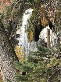 Scenic view of waterfall in forest