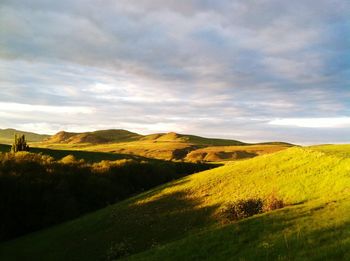 Scenic view of field against sky