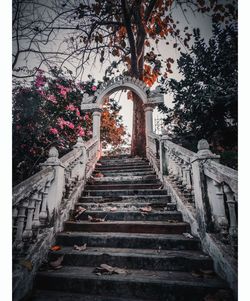 Low angle view of steps amidst trees and building