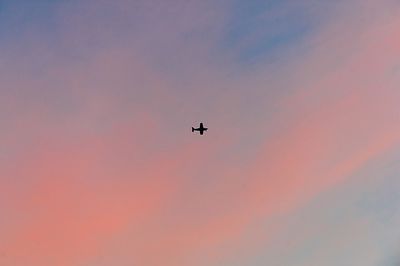 Low angle view of airplane flying in sky