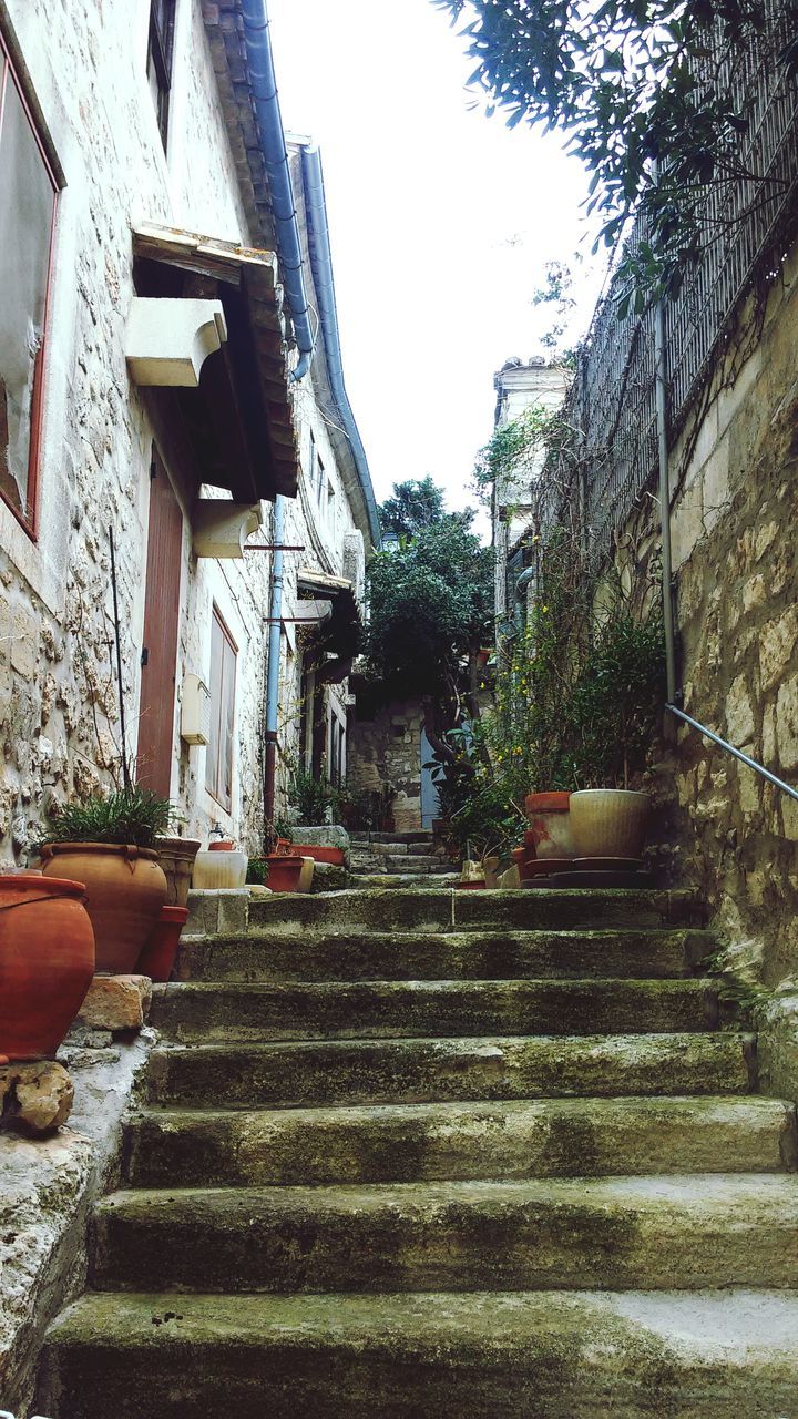 built structure, steps, building exterior, architecture, tree, steps and staircases, outdoors, day, staircase, no people, sky